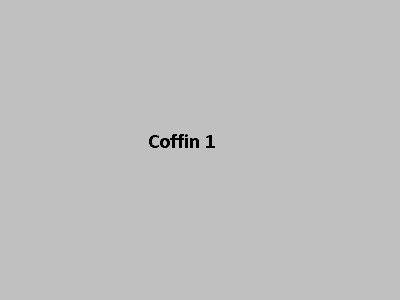 coffin